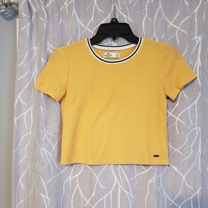 Hollister crop tee